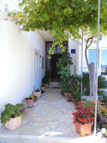 Hostal Apartman Mare