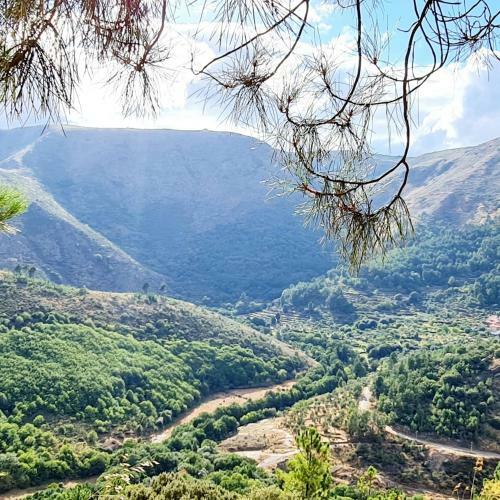 Senses Glamping
