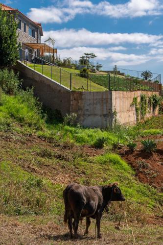 Villa Flora - Nature & Tranquility - Heated Pool Optional