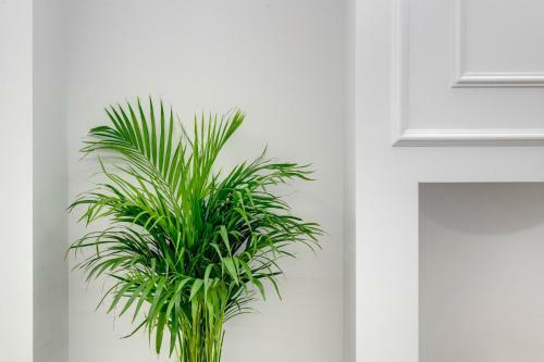 Hotel Amare Boutique Suites