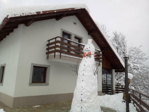 Villa Gorska Zvijezda