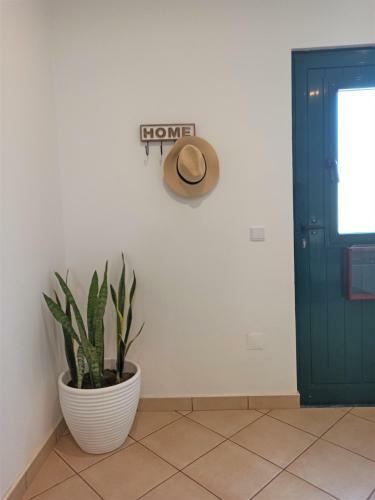 House Fifteen