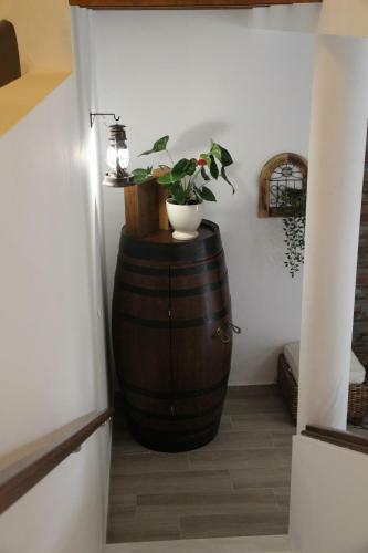 Casas De S�o L�zaro