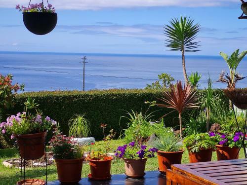Bed & Breakfast Casa Da Ribeira