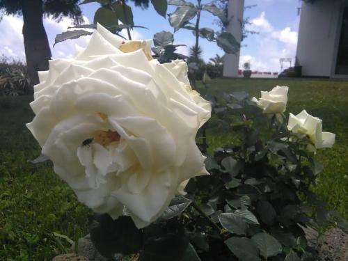 Bed & Breakfast Casa Da Ribeira