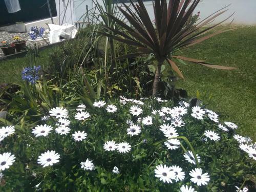 Bed & Breakfast Casa Da Ribeira