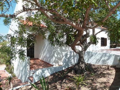 Algarve Booking