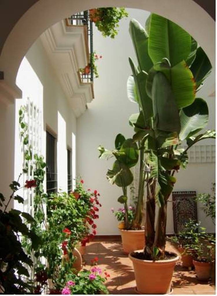 Apartamento Casa Atl�ntica