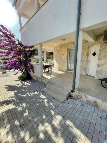 Apartments Elvira