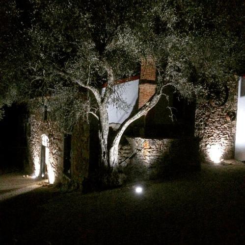 Agroturismo Quinta Do Ragal