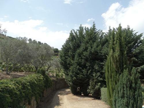 Farmhouse Douro With Amazing Views