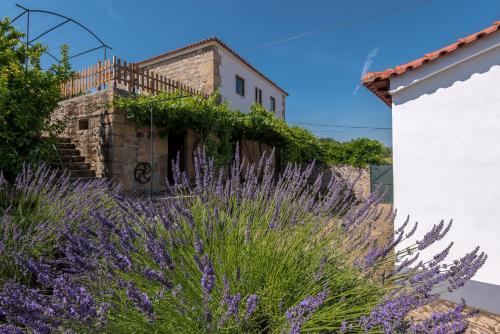 Apartamento Quinta Do Acipreste (Antiga Quinta Da Torre)