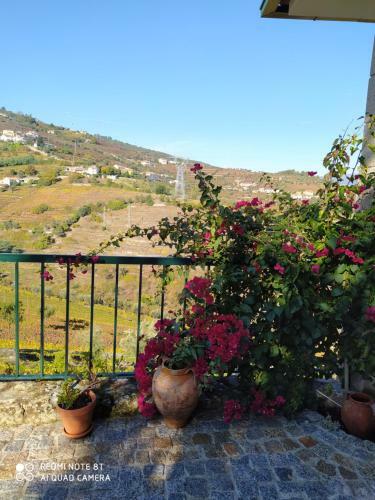 Quinta De Penelas