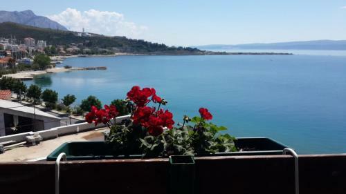 Apartment Bluebay