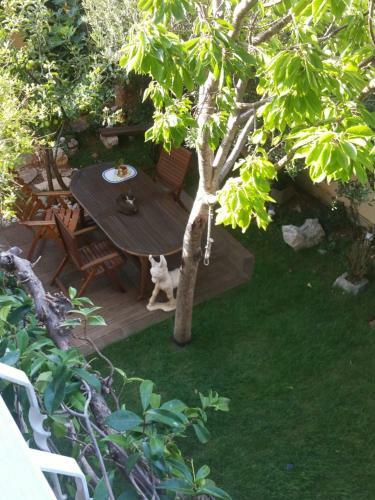 Hostal Guest House Adria