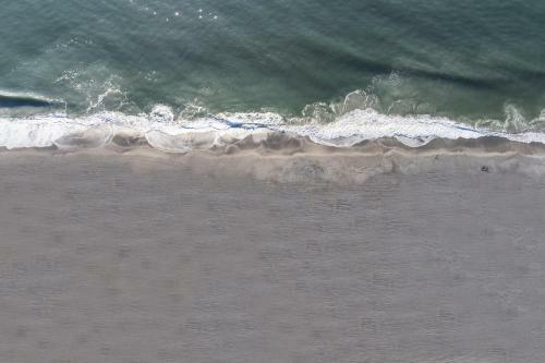 Beach House