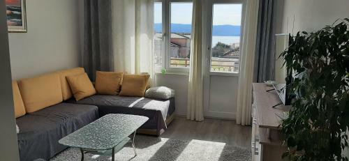 Apartment Biskupovic