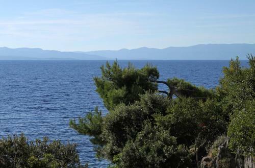 Seaside Secluded Apartments Cove Torac, Hvar - 4875