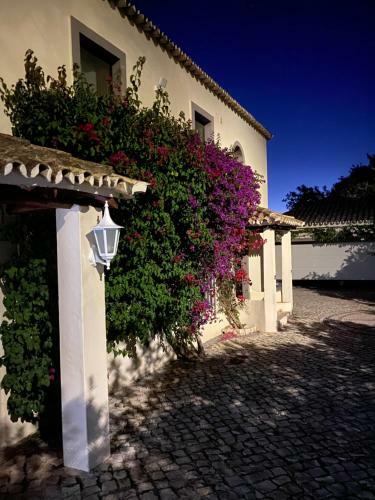 Bed & Breakfast Felicidade