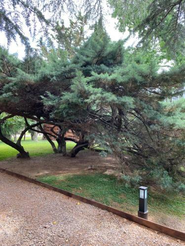 Posada Caba�as Del Campo