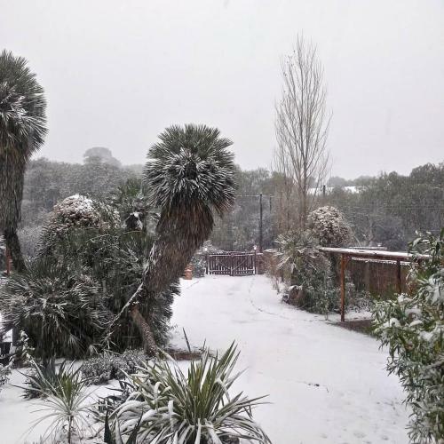 Lodge Palmares Al Cerro