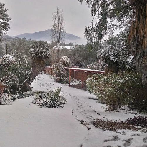 Lodge Palmares Al Cerro