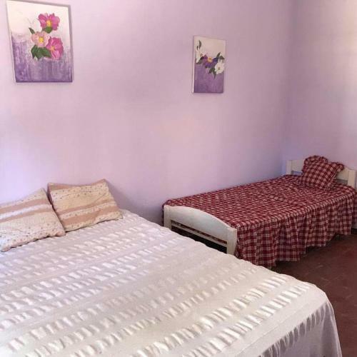 Laguna Chascom�s