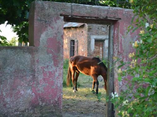 La Rosadita Casa de Campo