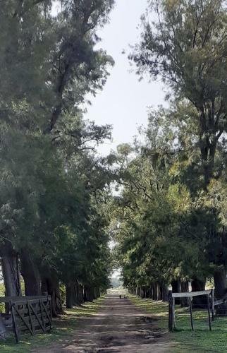La Rosadita Casa de Campo