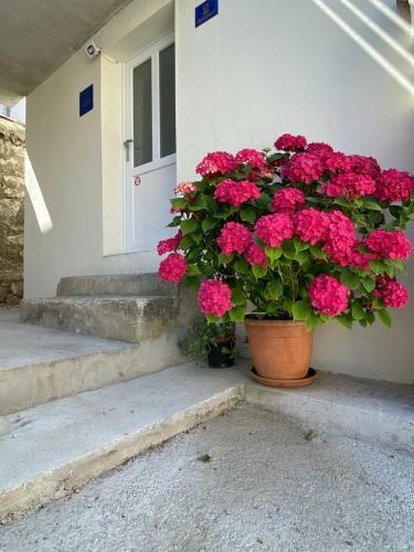 Apartamento Center Studio Funtana