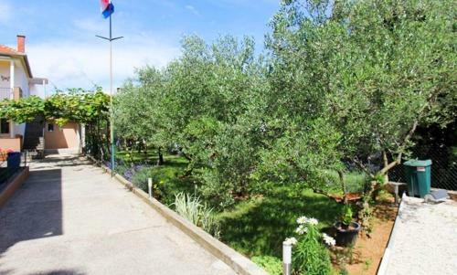 Apartment Dragan