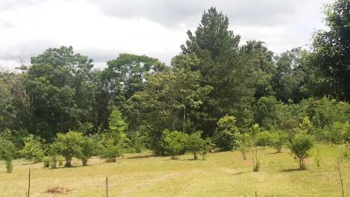 Lodge Caba�as Del Paraiso