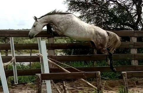 Estancia R�o Quinto