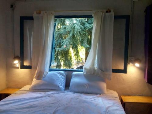 Apartamento "cafun�" Departamento