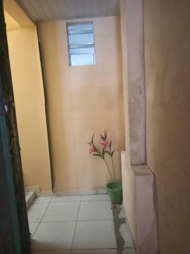 Apartamento Apto Em S�o Br�z