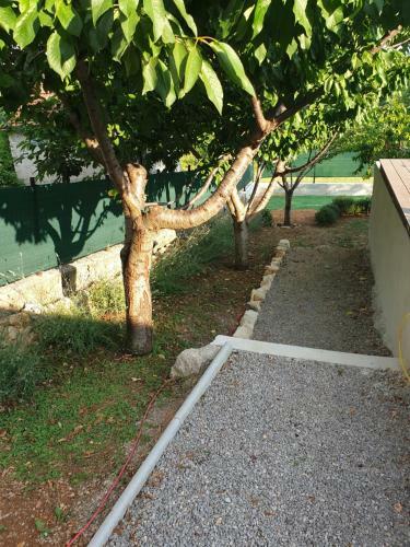 Villa Holiday House Luma