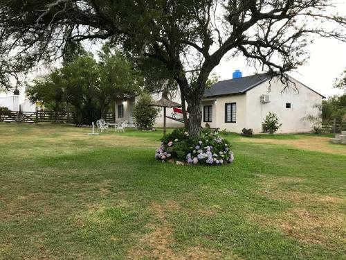 Apartamento Los Talas
