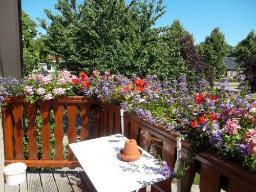 Bed & Breakfast Hof Van Lutten