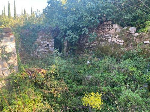 House Of Spirits