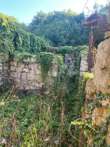 House Of Spirits
