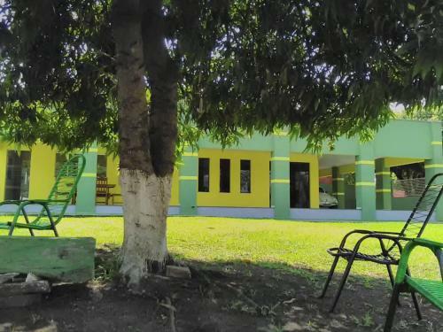 Flamboyant