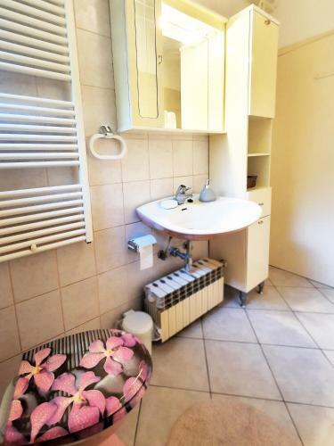 Apartmani Senka