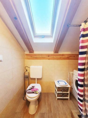 Apartmani Senka