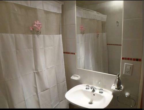 Apartamento Departamento Calafate Centrico