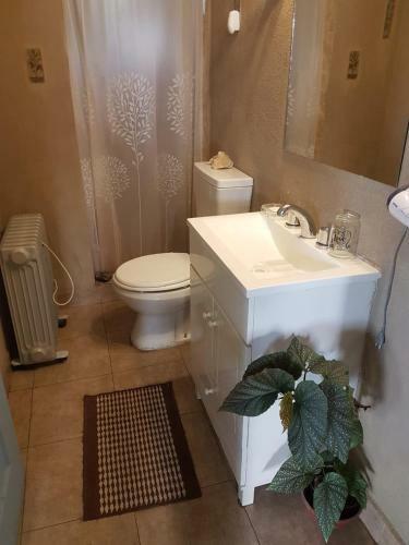 Apartamento Calafate Vision
