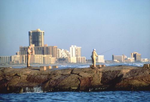 Edgewater 501 By Padre Island Rentals