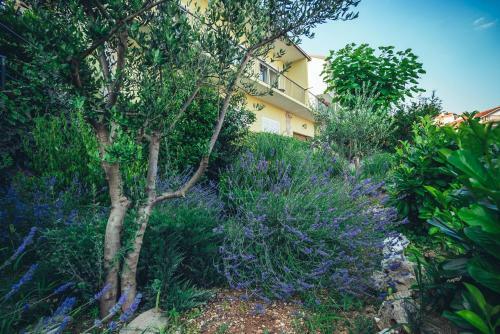 Apartamentos Malika