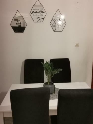 Apartmani "mary"