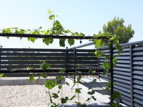Apartament 2 Tarasy Grebastica