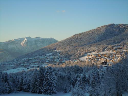 Hotel Seggiovia